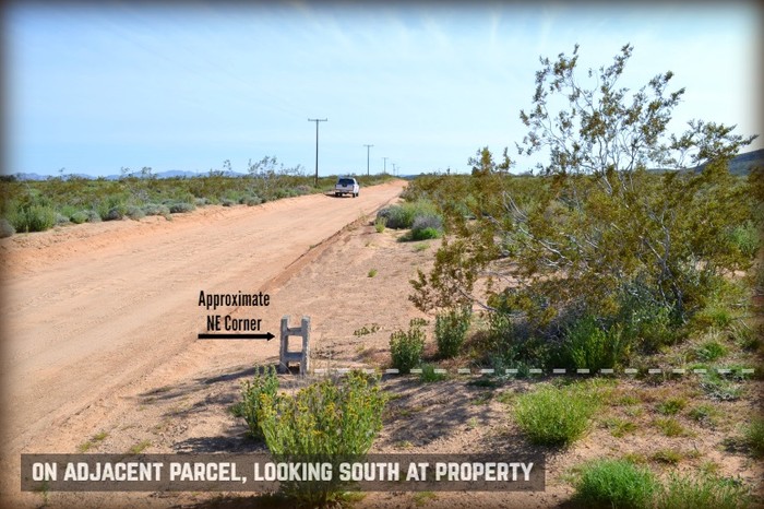 Ducor Avenue