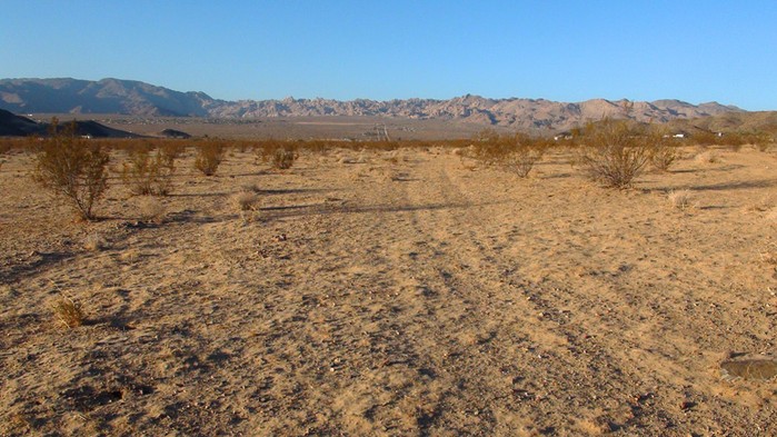 Mantonya Road