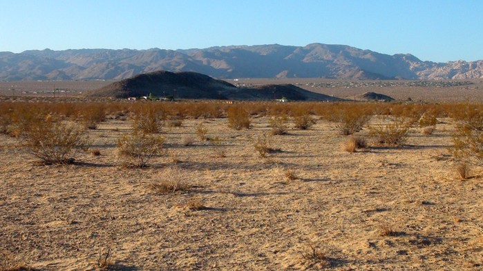 Mantonya Road