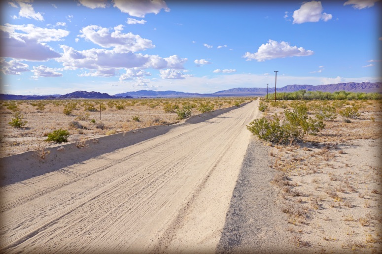 Wonder Valley Acreage For Sale