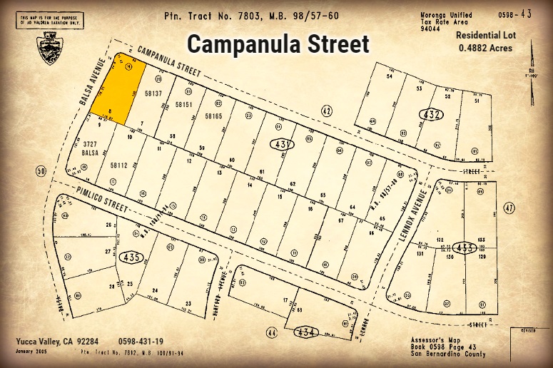 Campanula Street