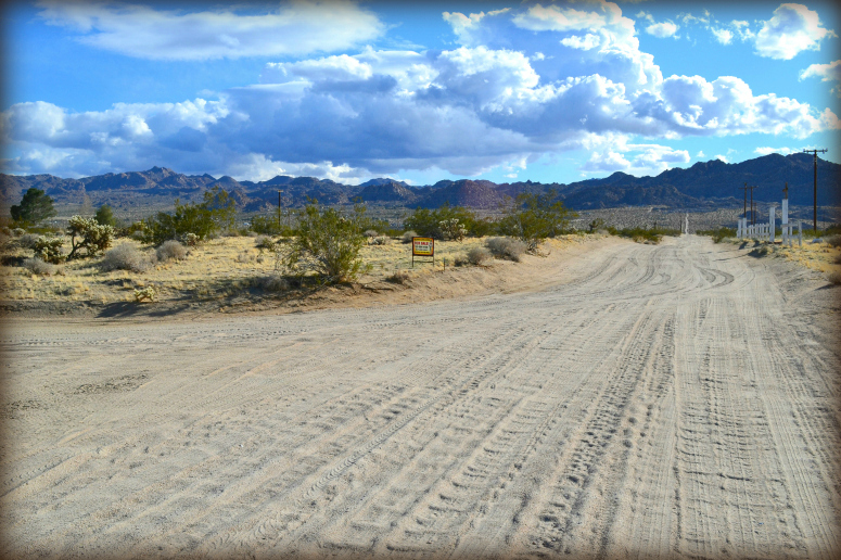 Buy Joshua Tree Land