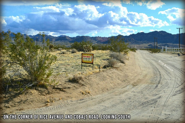 Two Mile Road