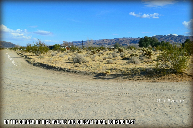 Two Mile Road