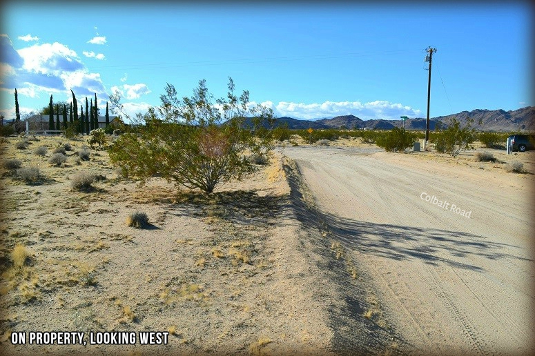 Two Mile Road