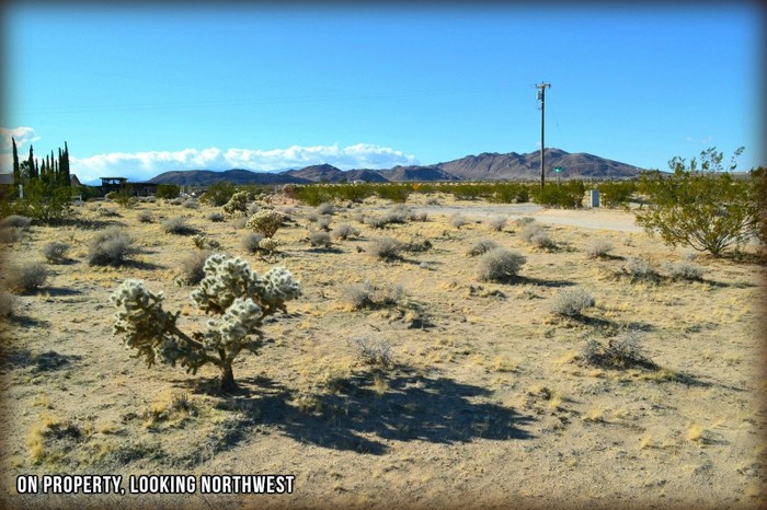Two Mile Road