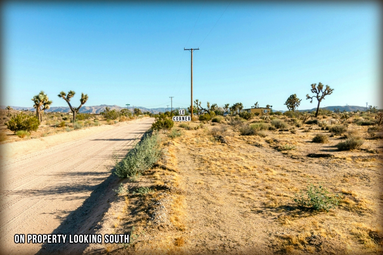 Bonita Avenue