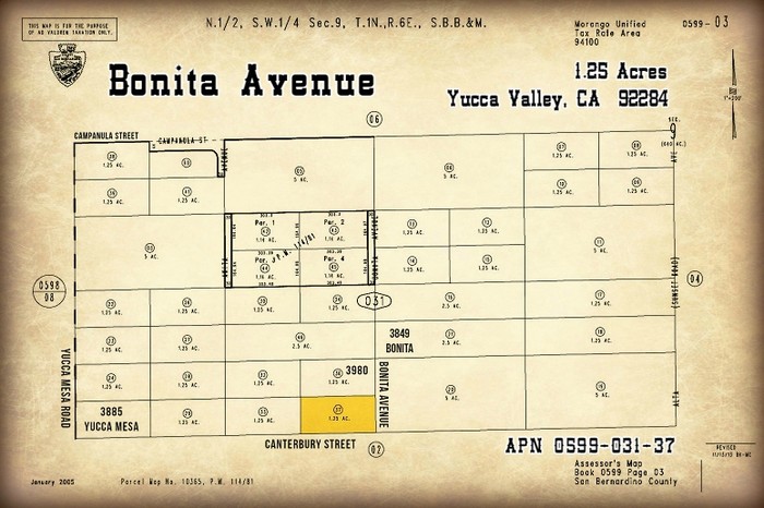Bonita Avenue