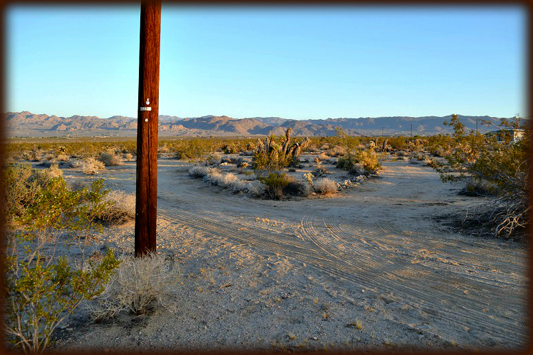 Joshua Tree 5 Acre Parcel
