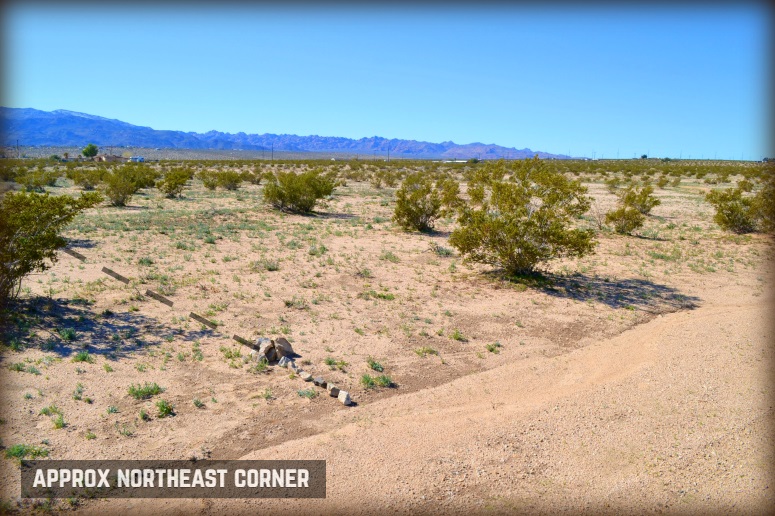 Twentynine Palms Land For Sale