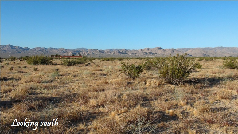  Sun Mesa Road