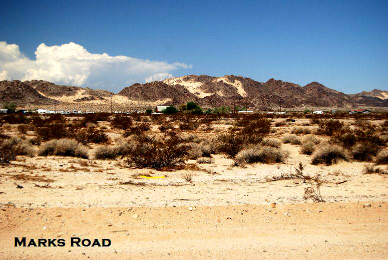 Wonder Valley Land For Sale