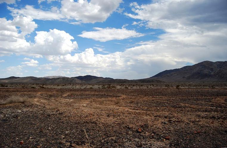 Wonder Valley Land For Sale