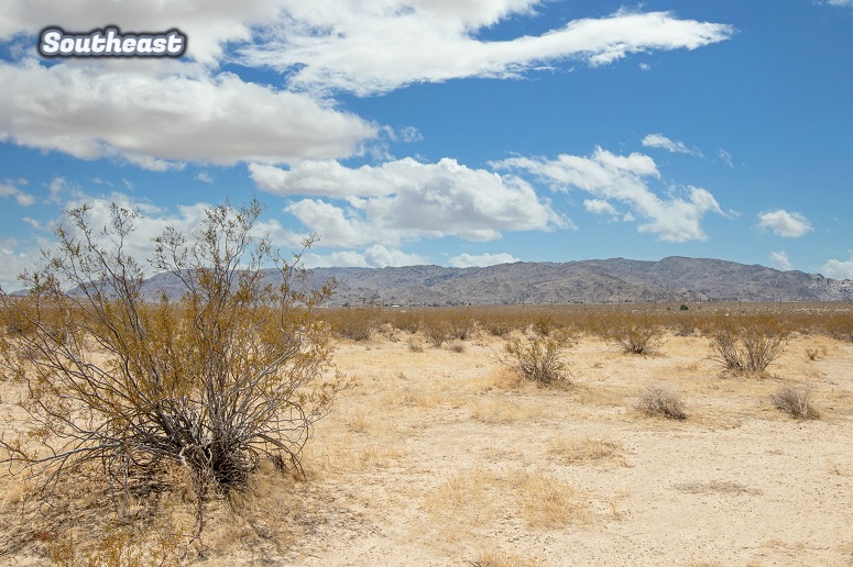 Shoshone Valley Road