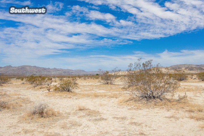 Shoshone Valley Road