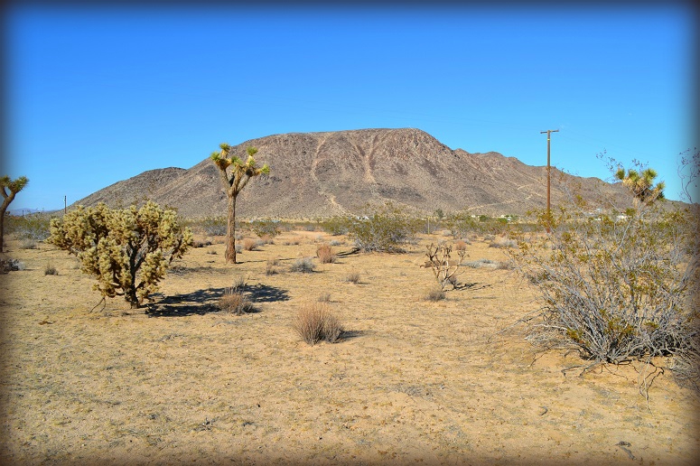 Landers Land For Sale