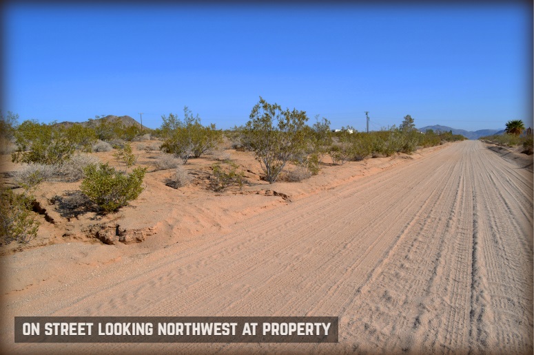 Dusty Mile Road