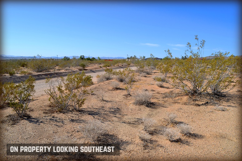 Dusty Mile Road