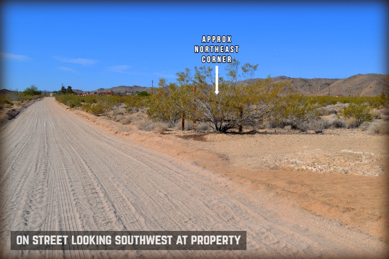 Dusty Mile Road