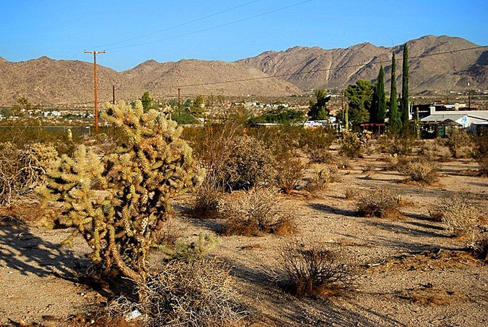 Jericho Way