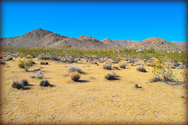 Johnson Valley Land For Sale