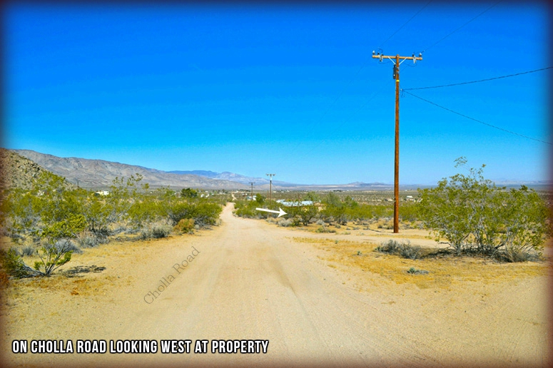 50920 Cholla Road
