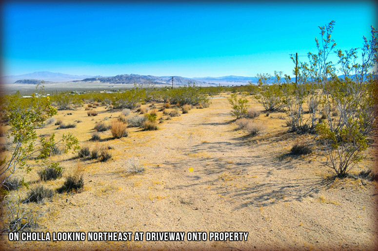 50920 Cholla Road