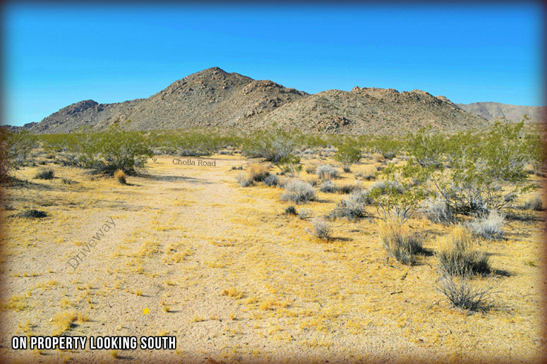 50920 Cholla Road