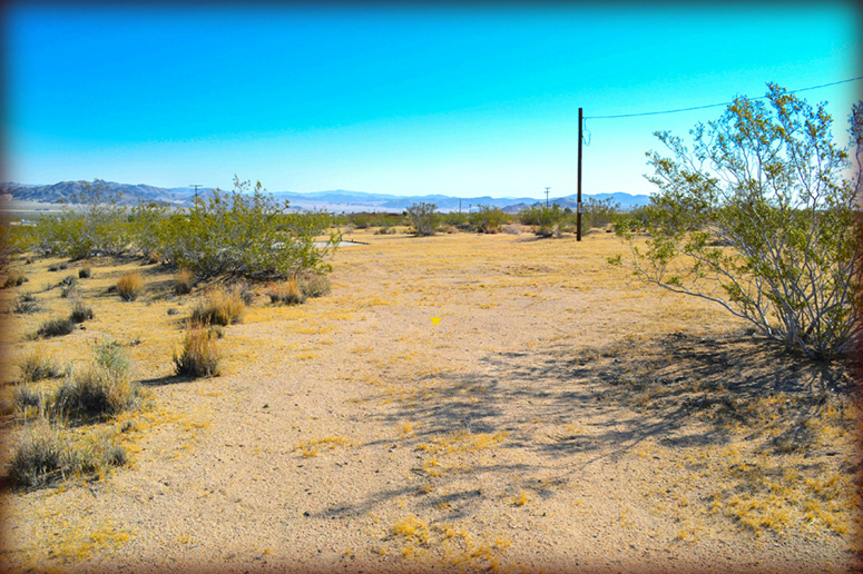 50920 Cholla Road