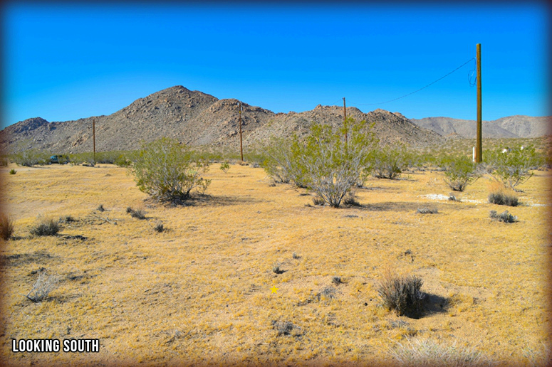 50920 Cholla Road