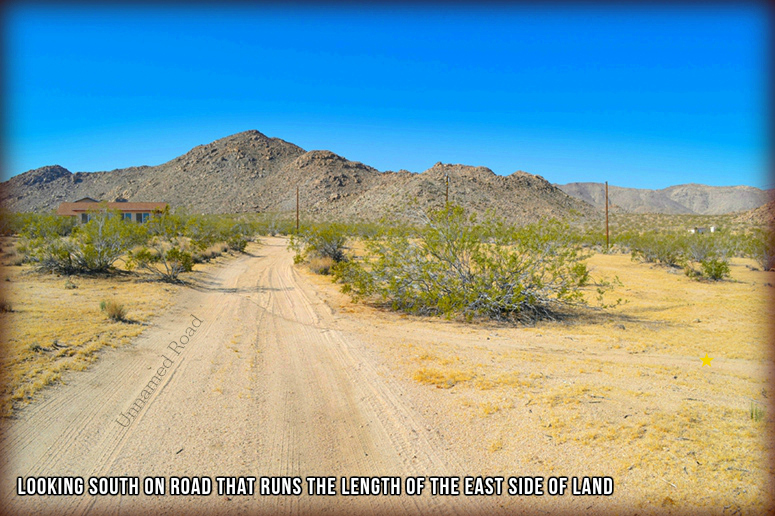 50920 Cholla Road