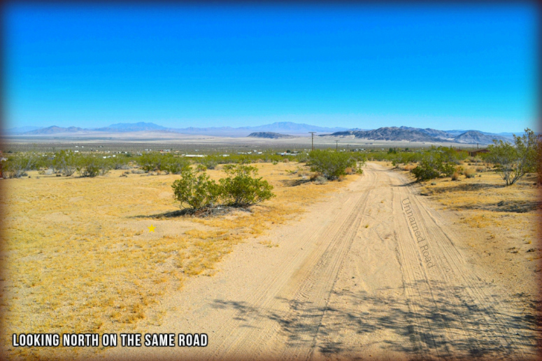 50920 Cholla Road
