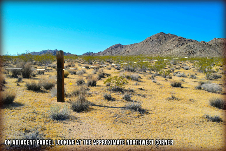 50920 Cholla Road