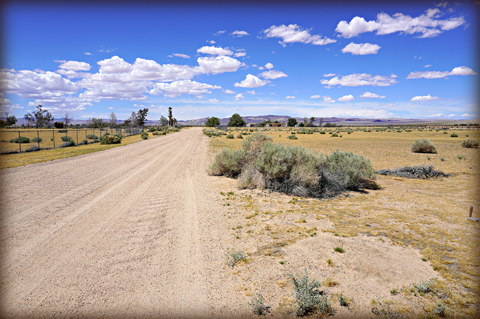 Joshua Road