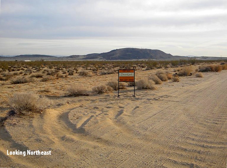 Chollita Road