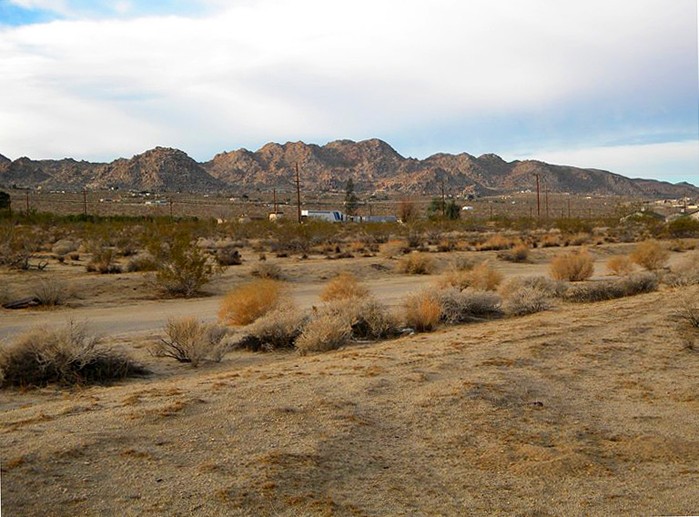 Chollita Road