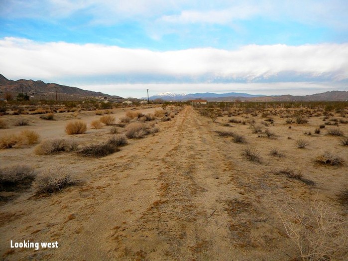 Chollita Road
