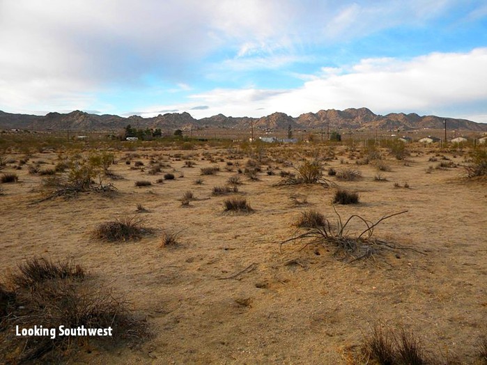 Chollita Road