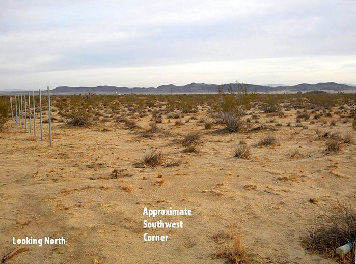 Chollita Road