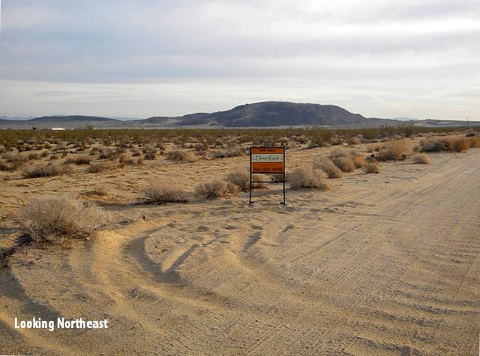 Chollita Road