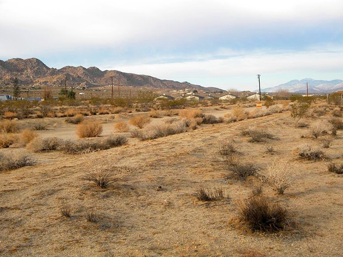 Chollita Road