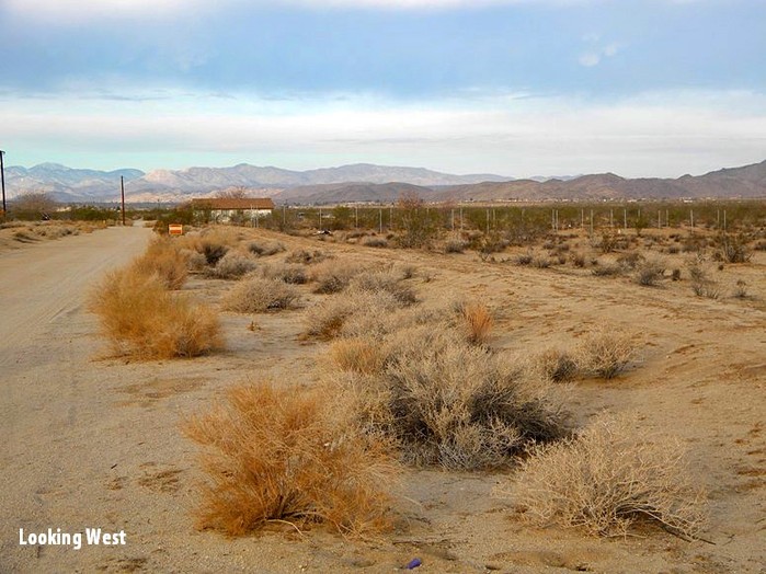 Chollita Road