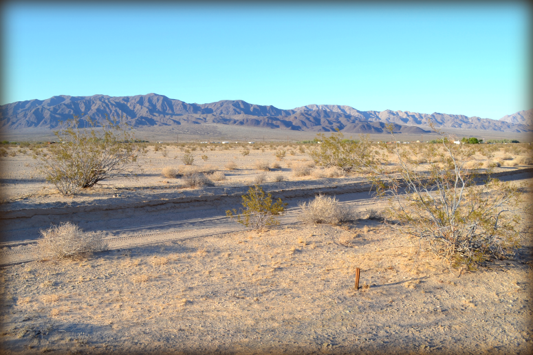 Wonder Valley Raw Land For Sale