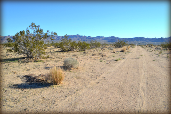 Arizona Avenue