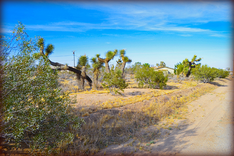 Yucca Valley Unimproved Residential Lot