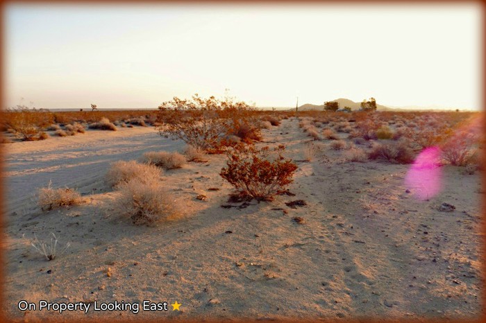 Sonora Road