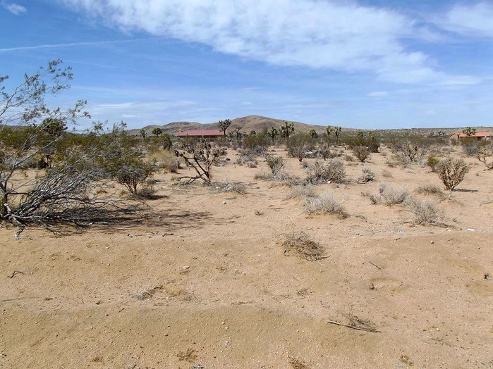 Mason Drive