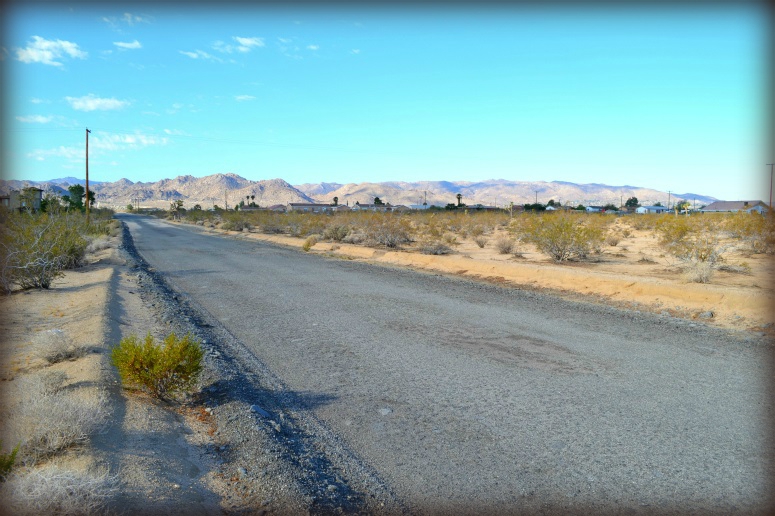 Joshua Tree unimproved Building lot