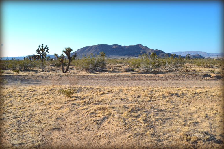 Landers Acreage For Sale