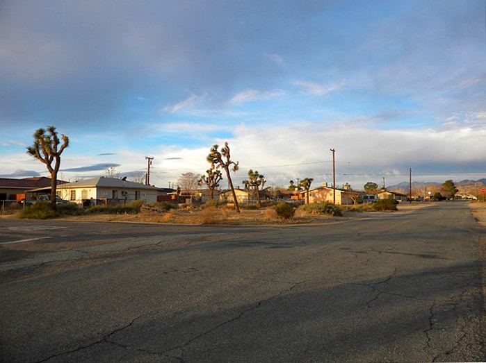 Ronald Avenue
